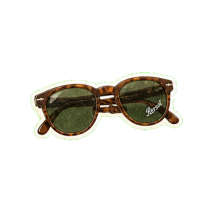 Persol 714 polarized or Vuarnet glacier-tier sunglasses