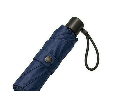 Navy Compact Umbrella